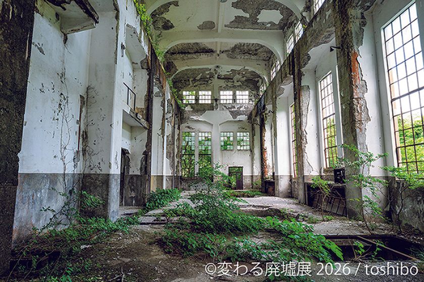 従来のイメージを覆す美しさ...廃墟をアート作品へと昇華した写真展