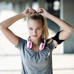 �����Ǥ�����Ͷ�������ʤ롩�ֽ��Ҥε����βᤴ�����ף��ѥ�����