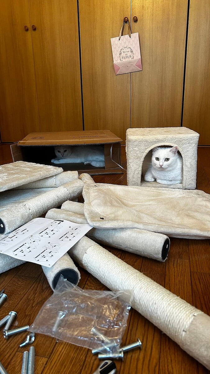 ��Ҥγ������뤫�鳰��į���ǭ�����