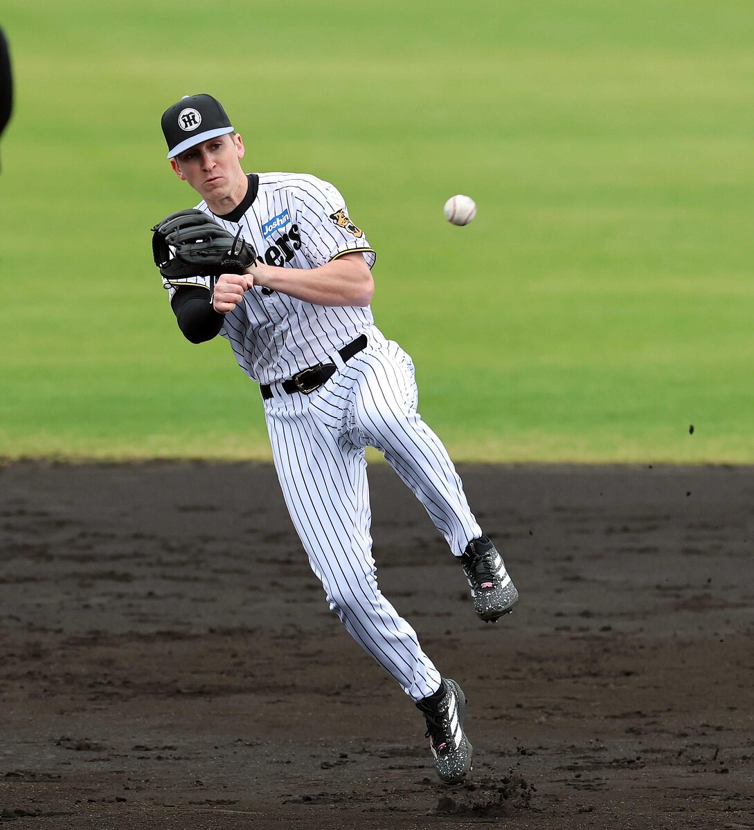 　ノックを受けるディベイニー（撮影・山口登）