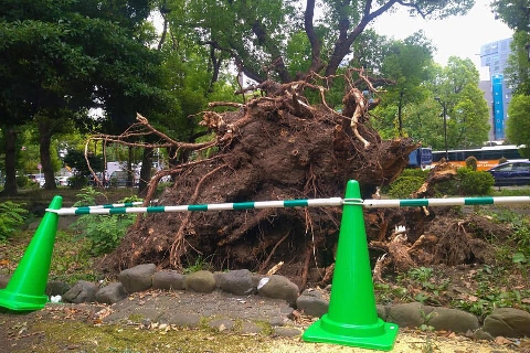 台風15号で 屋根がふってきた 車が傷だらけに ご近所トラブル多発 弁償は必要 ライブドアニュース