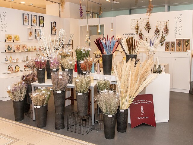 イクスピアリで人気のお店が日本橋に登場 プリザーブド ドライフラワー専門店 Cuccuma Nihonbashi ライブドアニュース