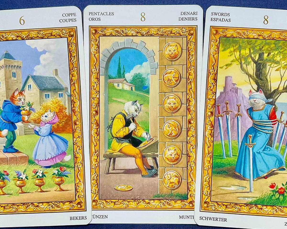  �ڲ��Ӻ¡۽��֥����å��ꤤ���轵��2025ǯ11��17����11��23���դ����籿�������� 