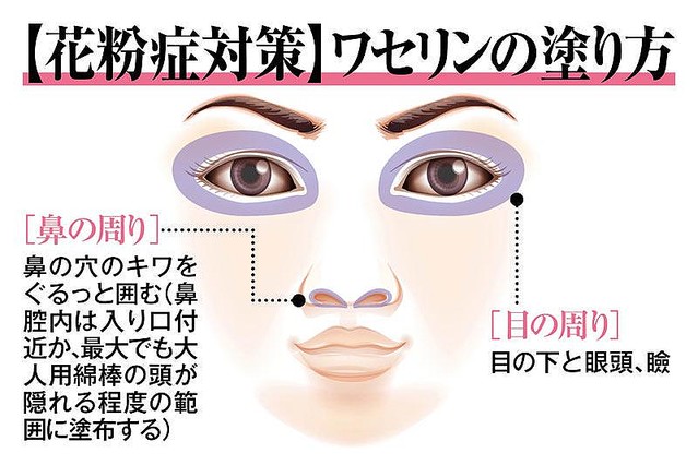 ワセリンで花粉症が軽くなる ライブドアニュース