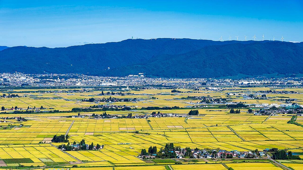 (※写真はイメージです/PIXTA)