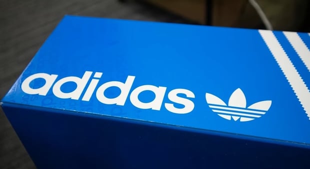 ���ǥ����� �֥��ɥ��󥿡� ���ɤ���Ź������Ź�޺������������