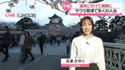 �ƥ�Ӷ���NEWS