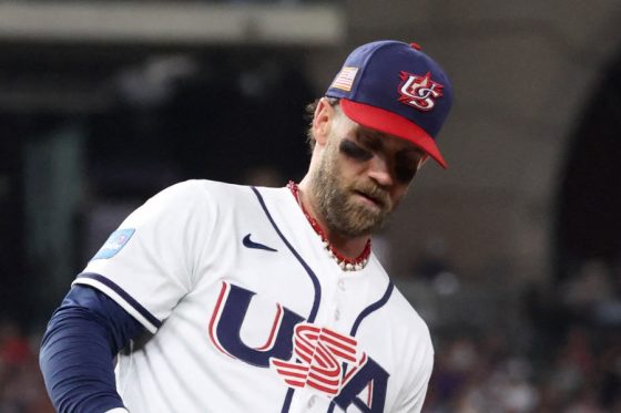 �ƹ���ɽ�Υ֥饤�����ϡ��ѡ��ڼ̿�������������