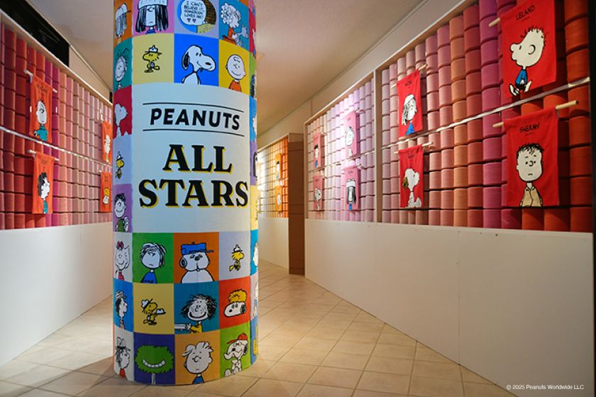 ̡֥ԡ 碌ĤरŸ104麣ԤΥѴۤǳ