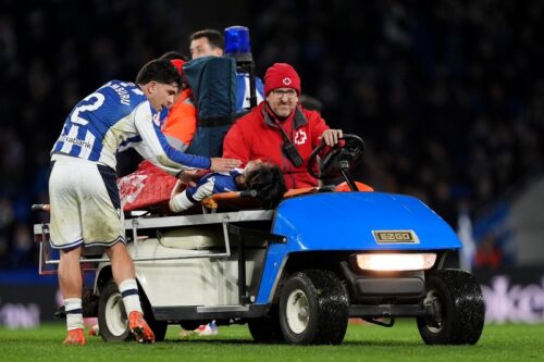 ���ϥॹ�ȥ�������������ɽMF���ݷ��Ѥ�SNS�Ƿ�ա֤��ä��꼣���ƶ����ʤä���äƤ��ޤ���