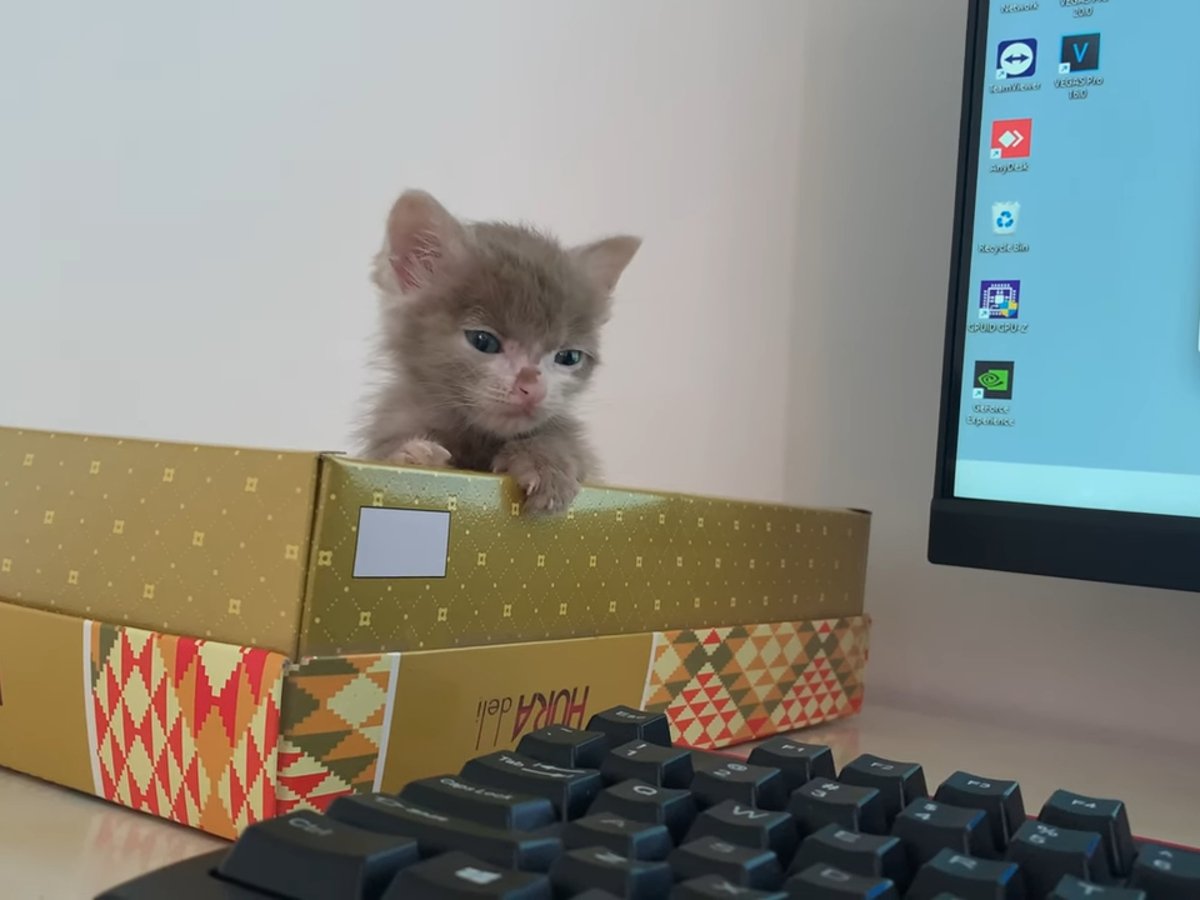 �Ż���ˡ�����ʤդ��˸��Ĥ��줿���