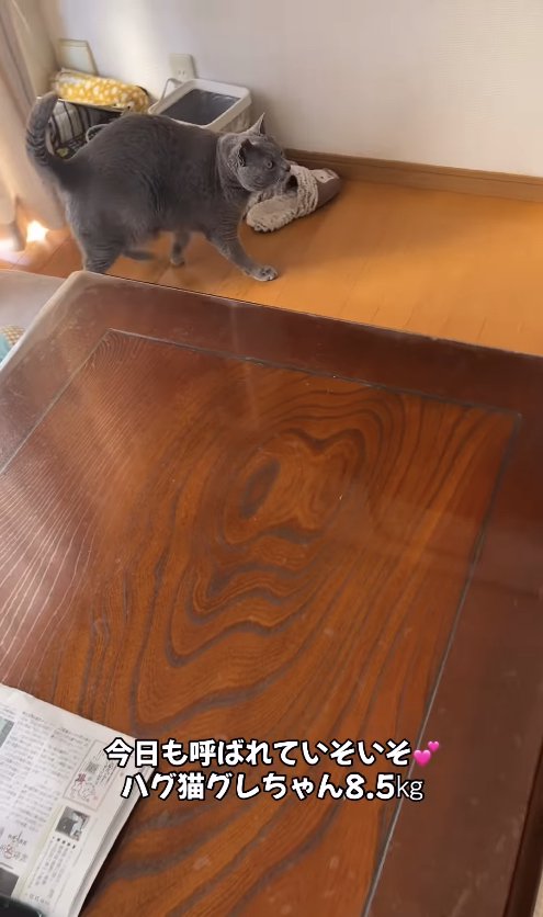 画像が削除されました