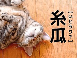 �ڻ屻�ۤ�֤��Ȥ���פ��ɤ�ȾФ��ޤ������ɤ�ʤ����Ѥ�������������������