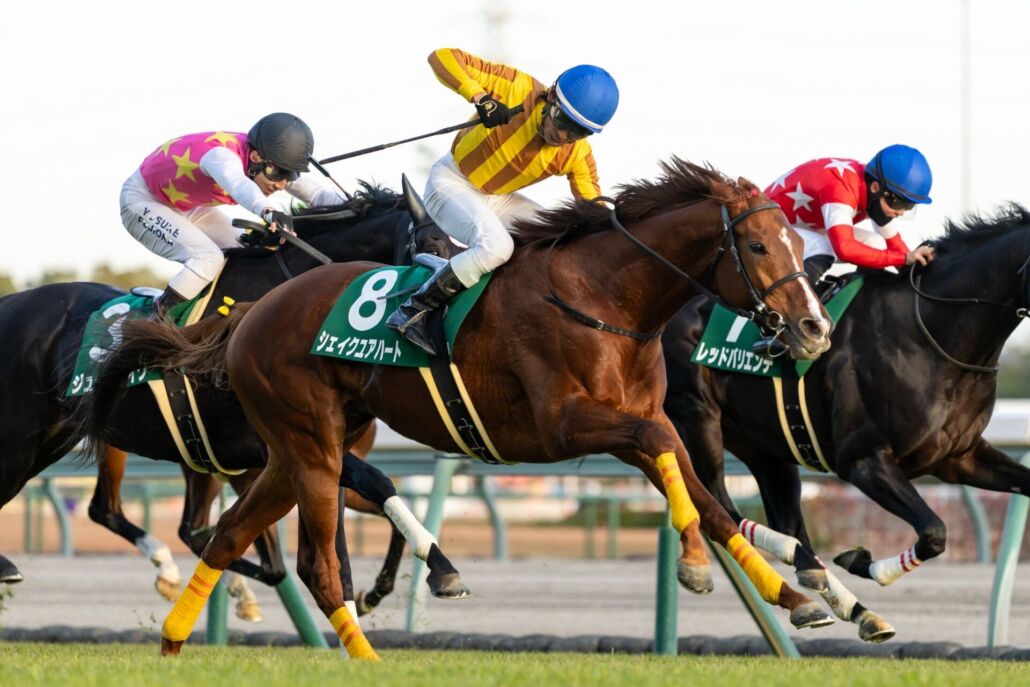 ������ʹ�ա����������楢�ϡ��Ȥȸ�����ε���