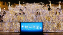 ʤХー߹Υߥー֤ʤиιס᤯𸶤