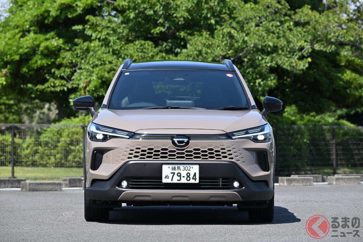  �����䤹������������SUV�餷��¸�ߴ���ξΩ 