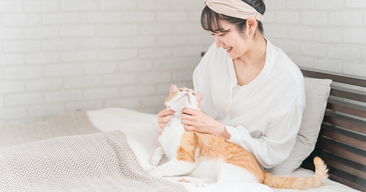 写真はイメージです　Photo:PIXTA