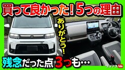 ����ѥ��ȥߥ˥Х����Ӥη����ǡ֥ۥ�����ե꡼�ɤ������ץ����ʡ�����륷���󥿤ˤϤʤ�̥�ϤȤ�