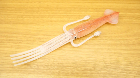 SNSで話題になった「イカ型フォーク」が商品化、日清食品の「カップ