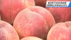 テレビ金沢NEWS