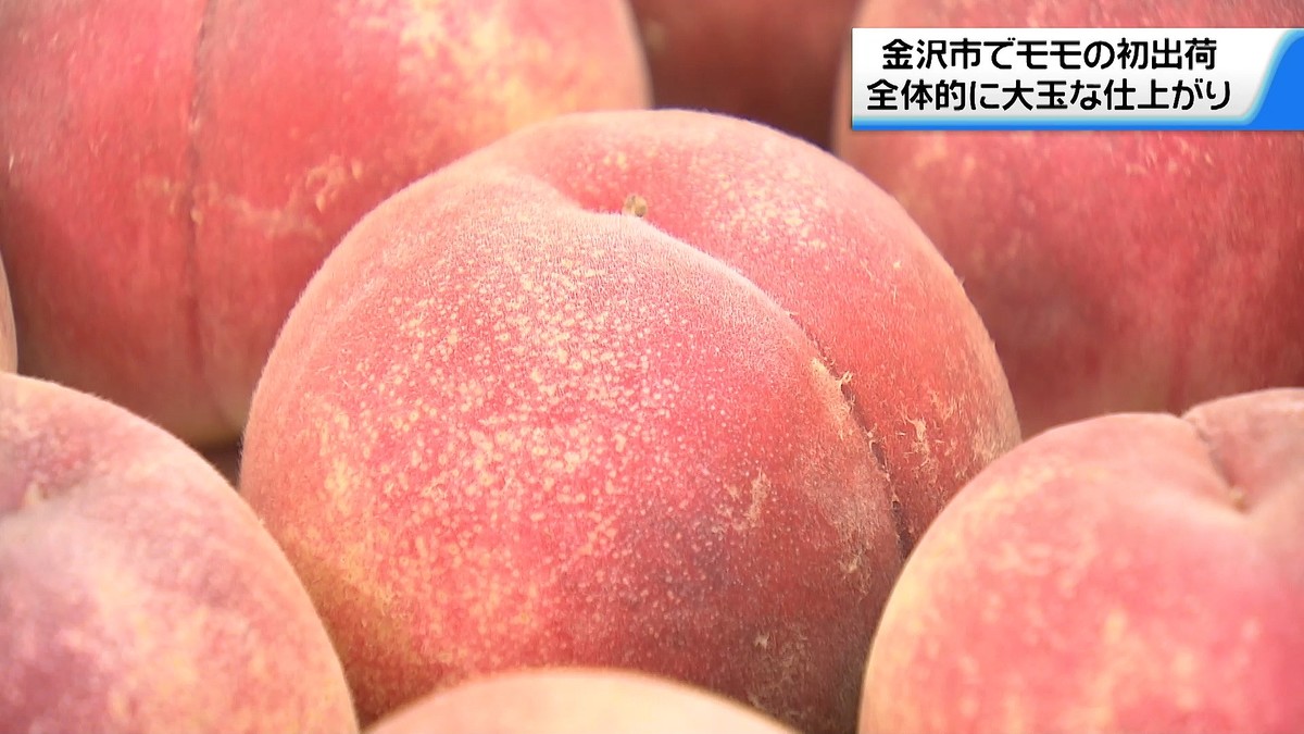 テレビ金沢NEWS