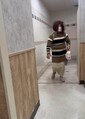 女性トイレで「女装した男」目撃と動画...