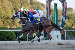 �롦�ץ�󥿥�ޡ������ɥ�ȥå���ȵȸ����͵��� (C)���츩�����ȹ�