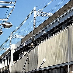 �ʤ�1��5���ͤ��Ȥ��Τ˴׻��� ��Ĺ���ּ��ԡפ�ǧ�᤿��������ֱ����Ρ��Ĥʡɸ���