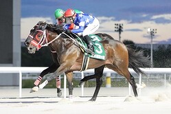 �������졼�� (C)���θ������ȹ�