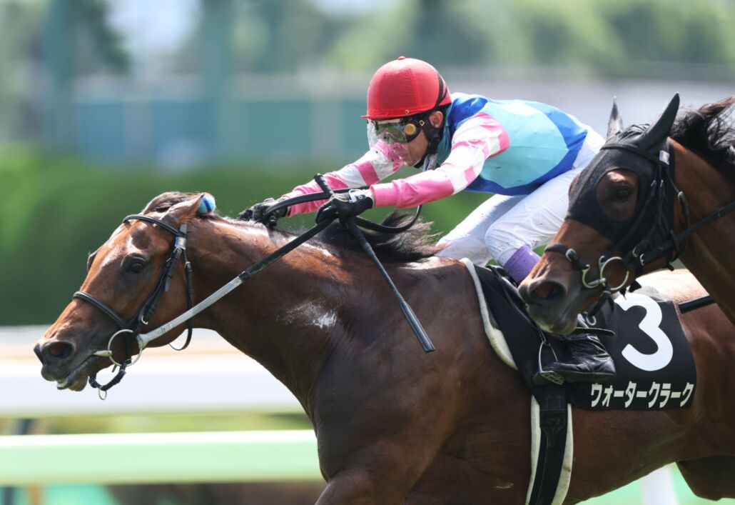 恵山特別・ウォータークラークと武豊騎手 (C)Super Markun