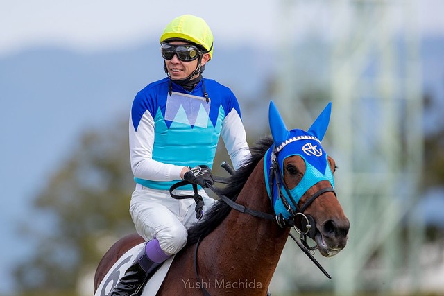 新馬/京都6R】武豊「乗り味は流石」6億円馬のアドマイヤビルゴが