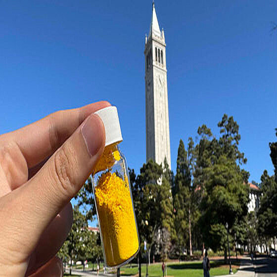 わずか200g程度で1本の木と同じだけの二酸化炭素を吸収できる