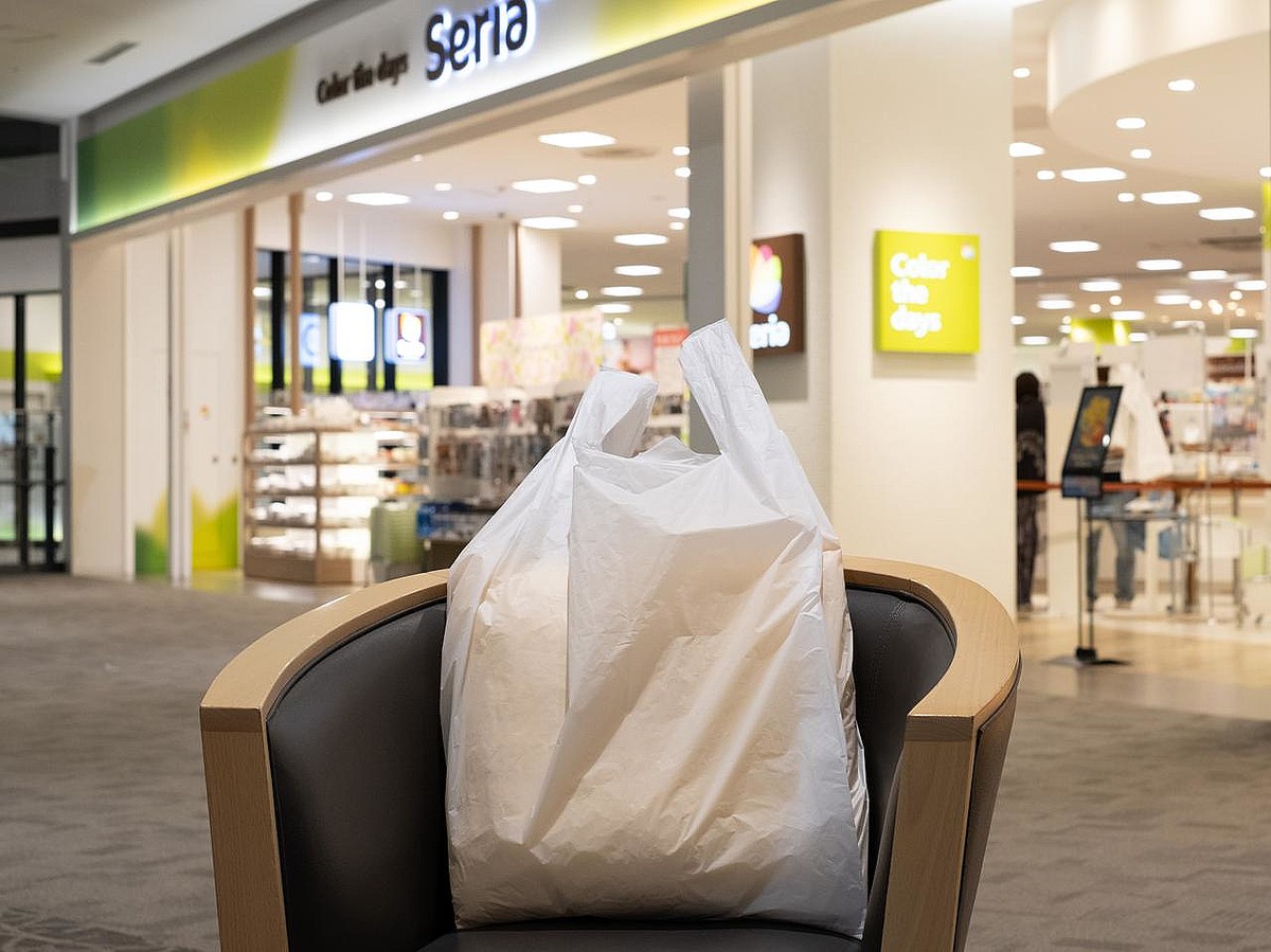 セリア110円ポーチで始める“小物整理”の楽しみ方