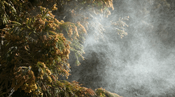 �����ܳ��۲�ʴ�ɴ�Ϣ��������񥿥��ߥ󥰤ϡ���ʴ������ー��������