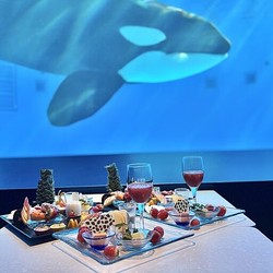 �������į��ʤ��� �֥��ȥ��٥�ー����ー�ĥ֥åե��׿��Ϳ��᥷ー��ー���