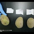 ジャガイモによる食中毒が発生
