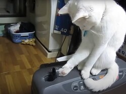 ξ�Ծ�����襤�ˡġġ�
