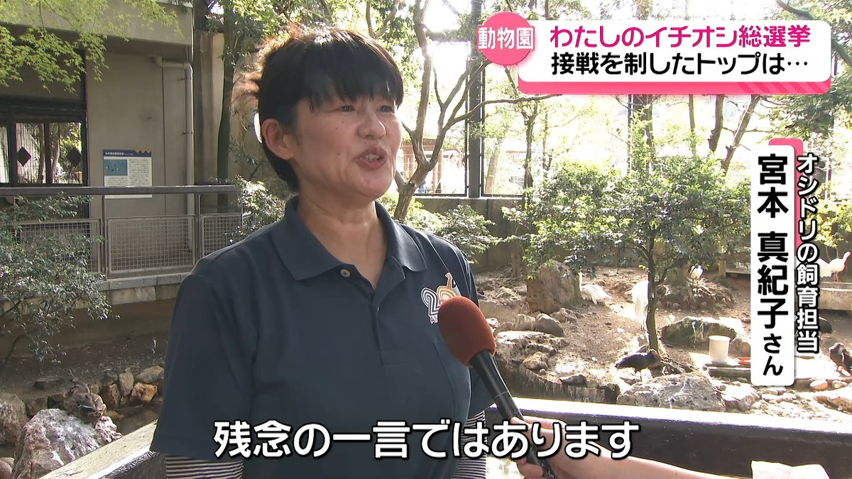 【画像】いしかわ動物園わたしのイチオシ総選挙 レッサーパンダ3連覇逃す…獲得票数1位は? 11/11 - ライブドアニュース