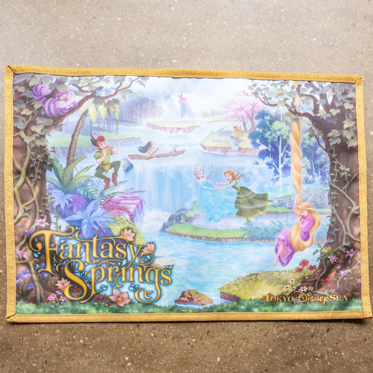 ミッキー、エルサ、ラプンツェル、ポカホンタスデザイン！東京