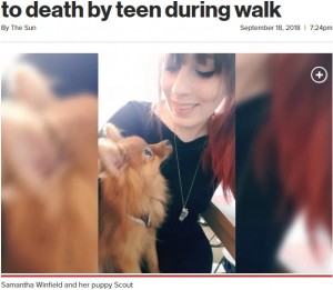 散歩中の子犬が少年らに蹴り殺された 英国で飼い主が情報提供訴え ライブドアニュース