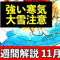 ͽΡͪ-36δ̳ƻˡȾܳ¦㡦˽ζ