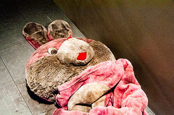 �ܥ��ܥ��˵�����̤������