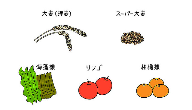 画像 発酵性食物繊維とは 腸内環境の改善 ダイエットや便秘解消に効果的 8 8 ライブドアニュース