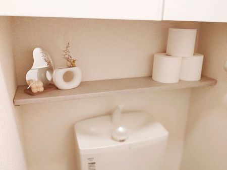なんと この 棚 100均アイテムだけで完成 トイレのラクチンdiyで収納力アップ ライブドアニュース