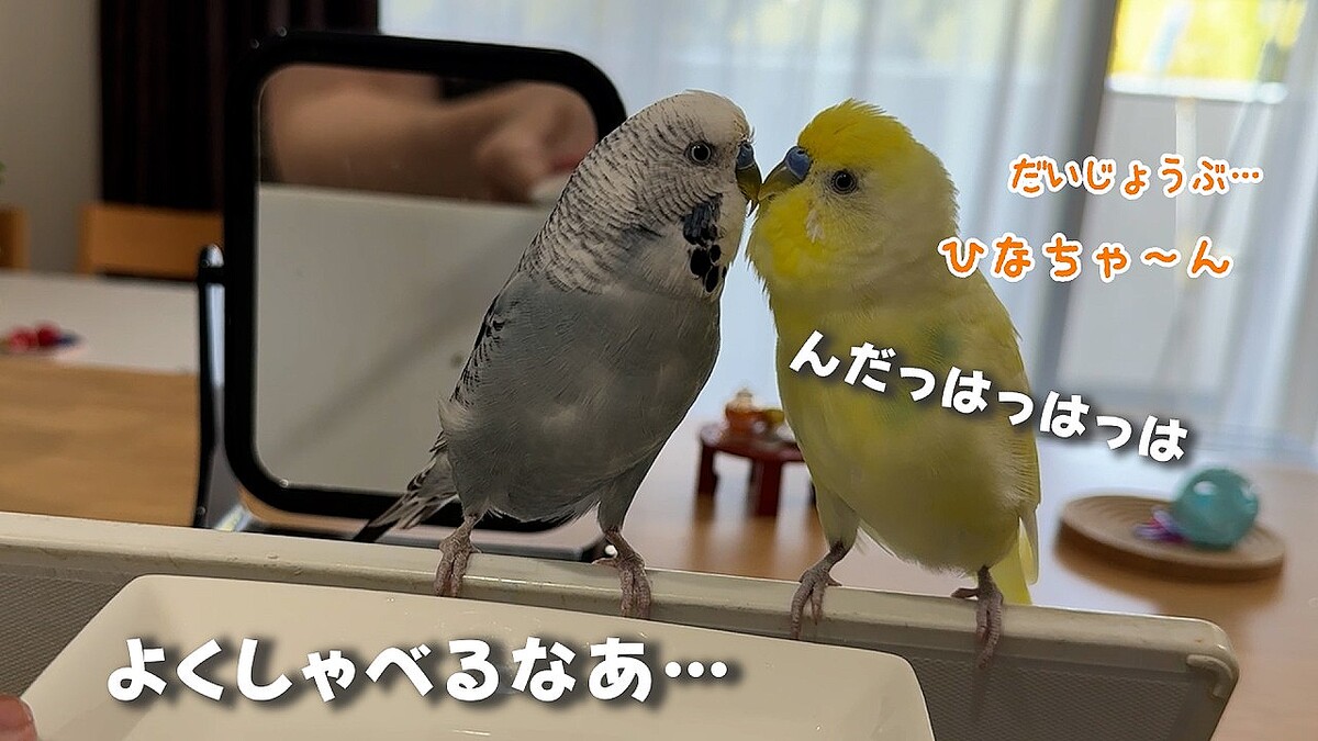 画像が削除されました