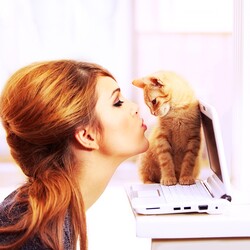 ���ˤʤ������ȼ�����ή���LINE�򴹤�����ˡ���ѥ�����