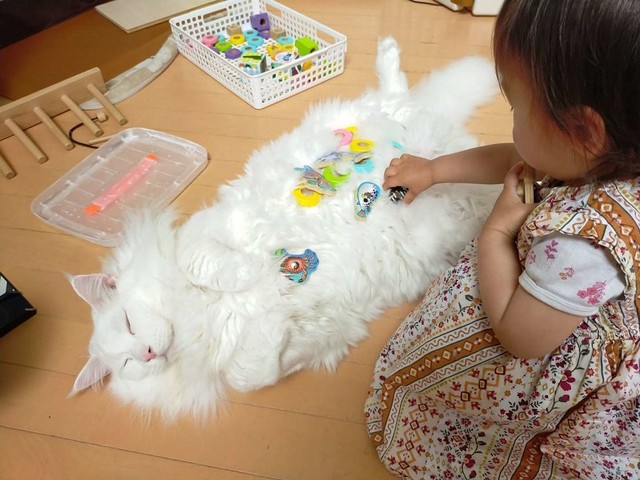 なんて やさしい世界 なんだ 1歳児の遊びにとことん付き合う 最高のシッターさん がこちら ライブドアニュース