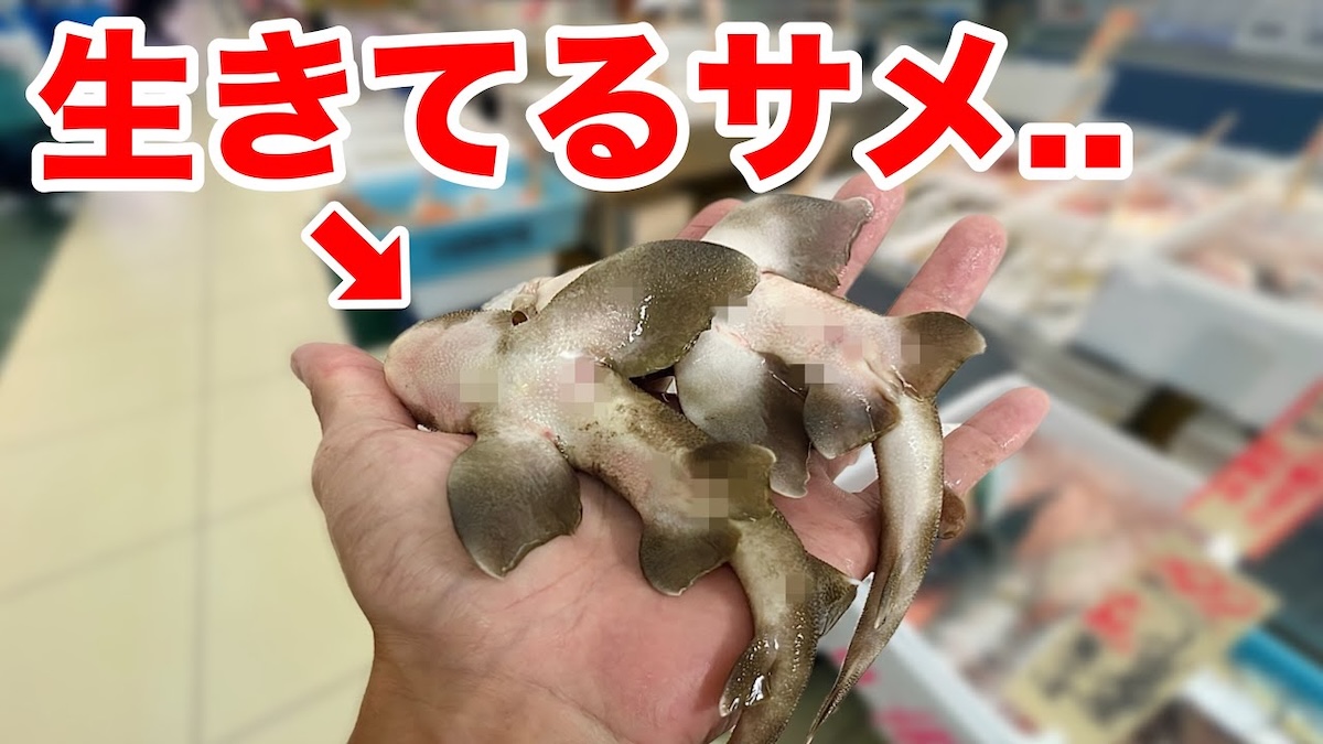 動画サムネイルより