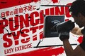【自宅で本格ボクササイズ】全力パンチでストレス発散！取付簡単・パンチングシステム