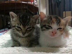 ���ˤ⿲���㤤���������ɡġġ�